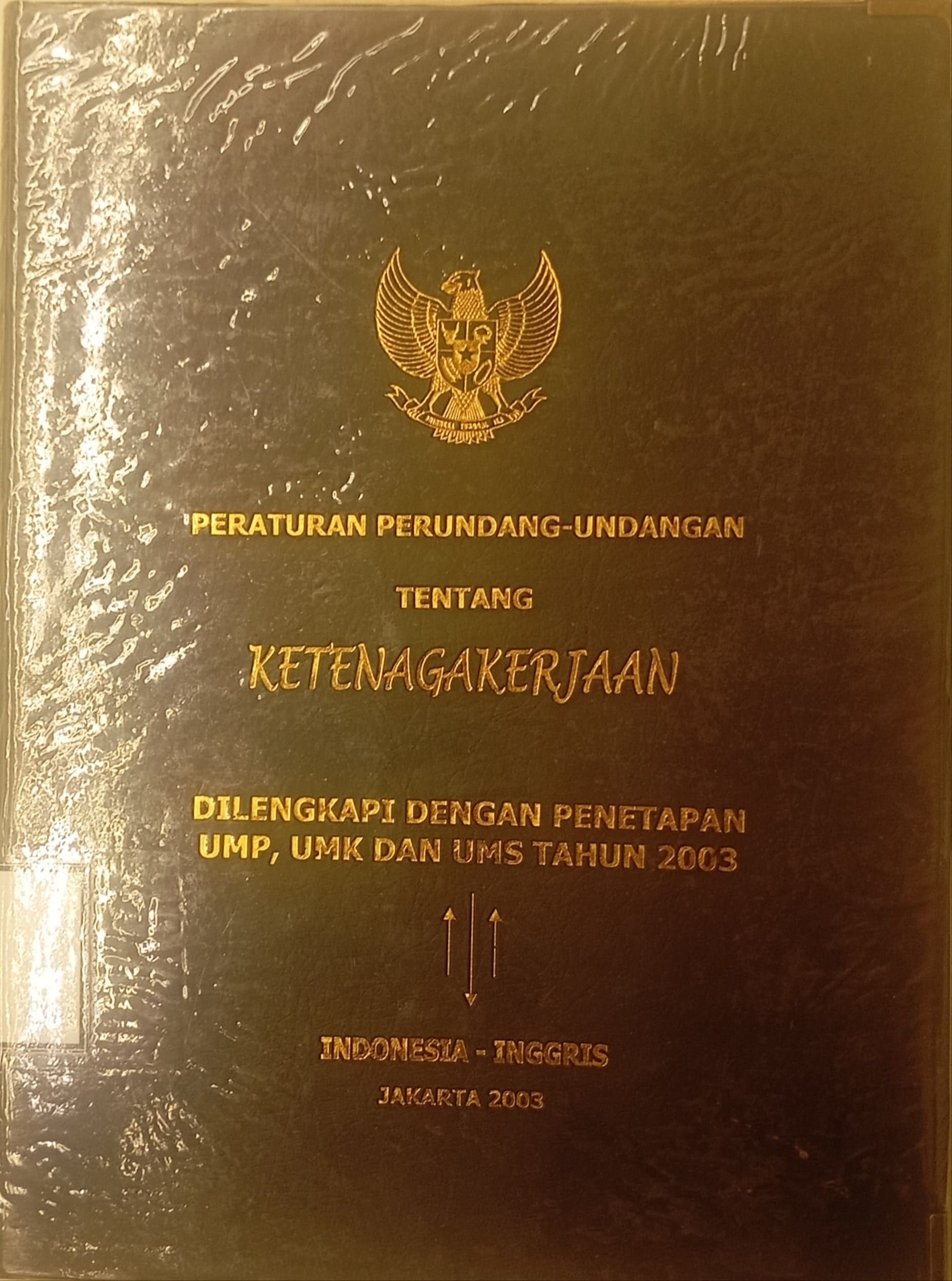 Cover Peraturan perundang-undangan tentang ketenagakerjaan: dilengkapi dengan penetapan ump, umk, dan ums tahun 2003