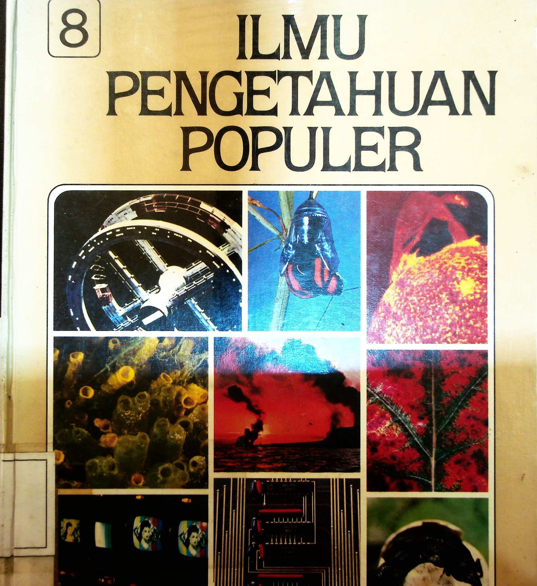 Cover Manager yang Rasionil