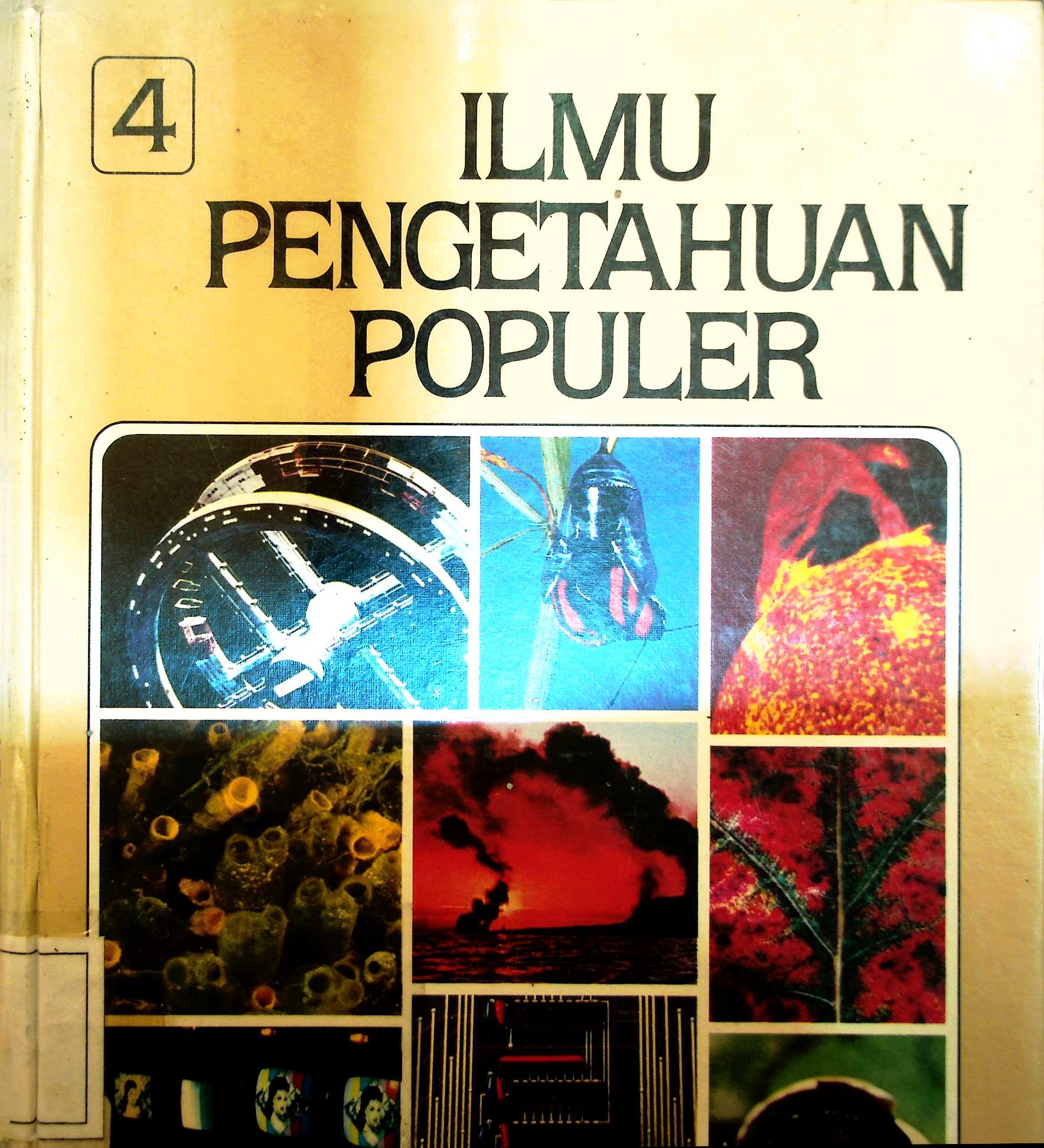 Cover Profil Statistik dan Indikator Gender Provinsi Kalimantan Barat Tahun 2000